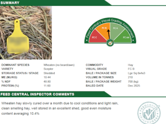 80mt Wheaten Hay 700kg 8x4x3 Bales