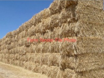 125 x Barley Hay 8x4x3 Bales