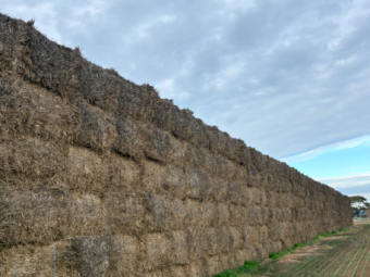 500mt Wheaten Hay 700kg 8x4x3 Bales
