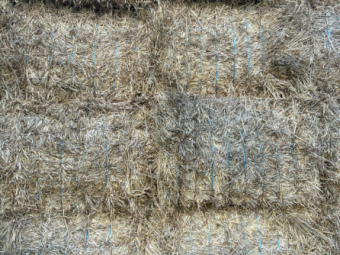 500mt Wheaten Hay 700kg 8x4x3 Bales