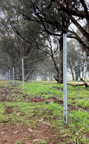 Chapel Gully Rural Contract Fencing
