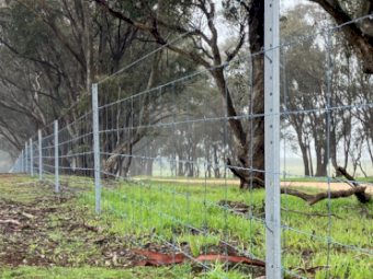 Chapel Gully Rural Contract Fencing