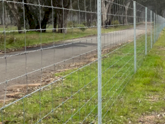 Chapel Gully Rural Contract Fencing