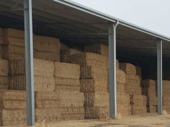 430mt Oaten Hay 630kg 8x4x3 Bales