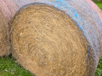 500 x Pasture Hay 400kg 5x4 Rolls