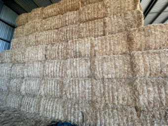 70mt Barley Straw 550kg 8x4x3 Bales
