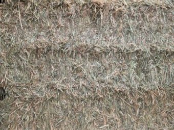 500mt Wheaten Hay 660kg 8x4x3 Bales