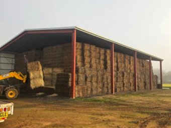 500mt Wheaten Hay 660kg 8x4x3 Bales