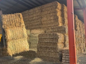 500mt Wheaten Hay 660kg 8x4x3 Bales