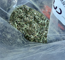 59mt Balansa Clover Hay 700kg 8x4x3 Bales