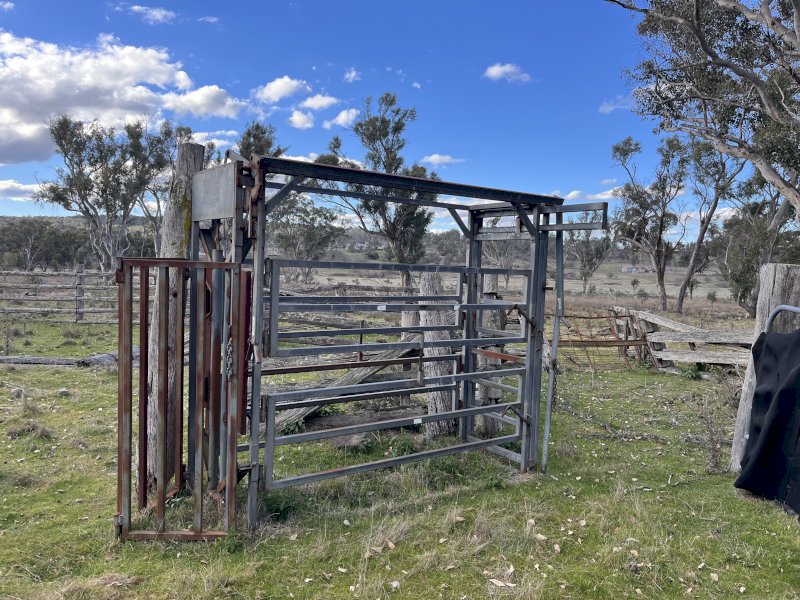 Arrowquip Cattle Crush