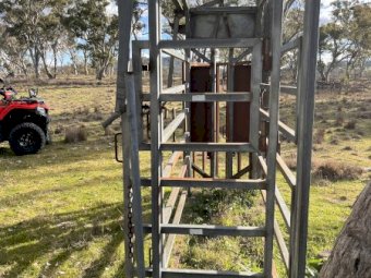 Arrowquip Cattle Crush