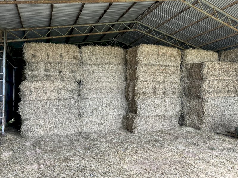 Barley Oaten Hay 8x4x3 Bales
