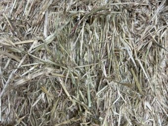 Barley Oaten Hay 8x4x3 Bales