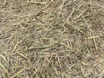 Barley Oaten Hay 8x4x3 Bales