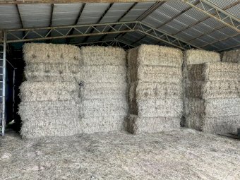 Barley Oaten Hay 8x4x3 Bales