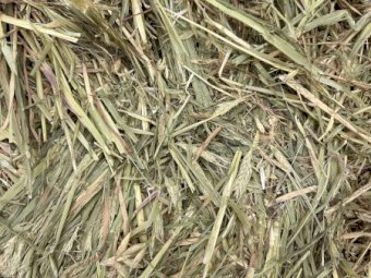 Barley Oaten Hay 8x4x3 Bales