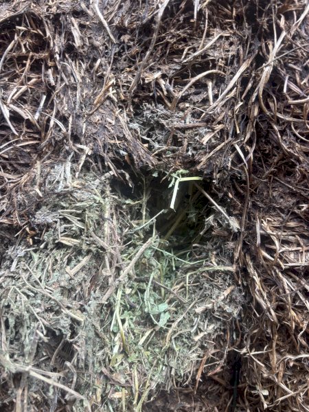 270m/t Vetch Hay 8x4x3 Bales