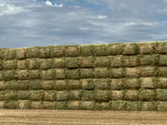 500mt Barley Hay 750kg 8x4x3 Bales