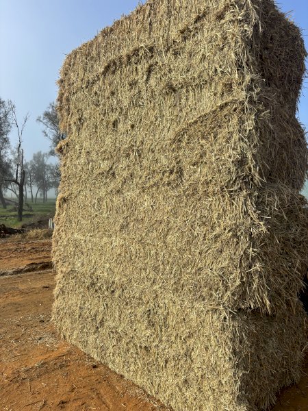 180m/t Wheaten Hay 8x4x3 Bales