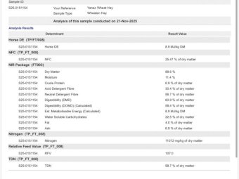 180m/t Wheaten Hay 8x4x3 Bales