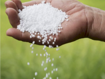 Urea ex Brisbane
