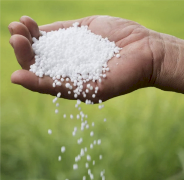 Urea ex Port Kembla
