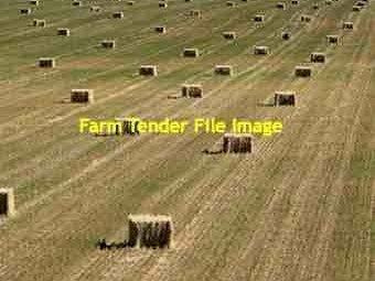 100mt Oaten Straw 8x4x3 Bales