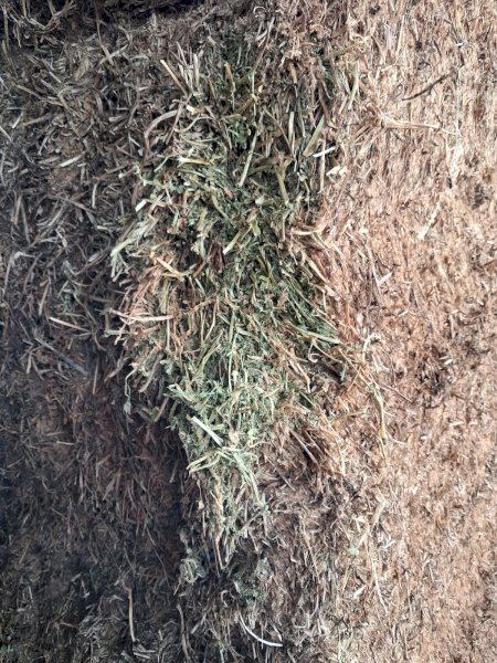 100mt Vetch Hay 720kg 8x4x3 Bales
