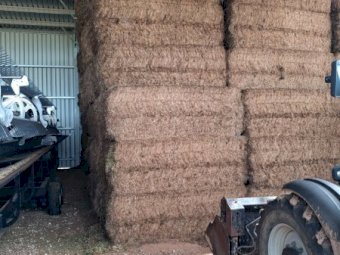 100mt Vetch Hay 720kg 8x4x3 Bales