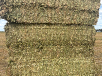 200mt Vetch Hay 665kg 8x4x3 Bales