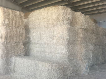 200mt Barley Hay 650kg 8x4x3 Bales