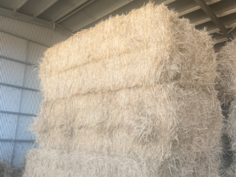 200mt Barley Hay 650kg 8x4x3 Bales
