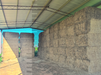 36mt Vetch Hay 600kg 8x4x3 Bales