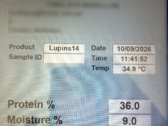 40mt Bateman Lupins