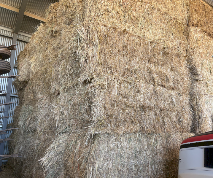 100mt Organic Certified Demeter Oaten Rye Hay 550kg 8x4x3 Bales