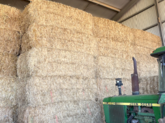 100mt Organic Certified Demeter Oaten Rye Hay 550kg 8x4x3 Bales