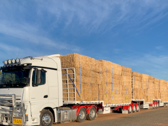 Hay Transport