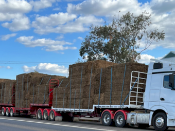 Hay Transport