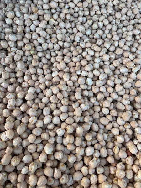 Chickpeas 090 Grain