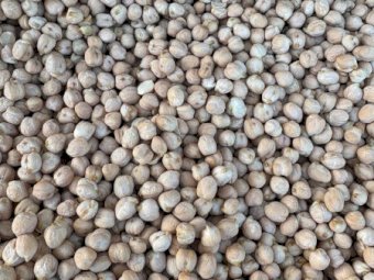 Chickpeas 090 Grain