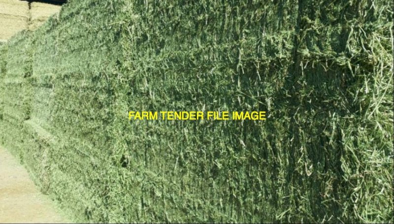 WANTED New Season Lucerne Hay 8x4x3 or 5x4 Round Bales