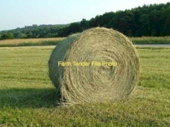Rye Clover Hay Round Bales x 50
