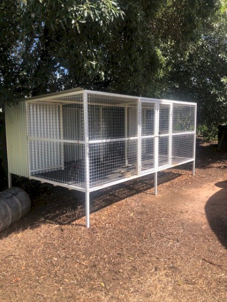 Dog Cage With Polypropylene Floor