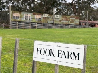 Fook Farm - Stunning Lifestyle Property - 91.42 acres