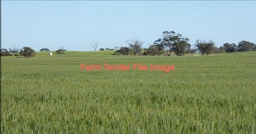 WANTED Farm Succession, Share Farming or Staged Entry Opportunity