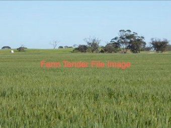WANTED Farm Succession, Share Farming or Staged Entry Opportunity