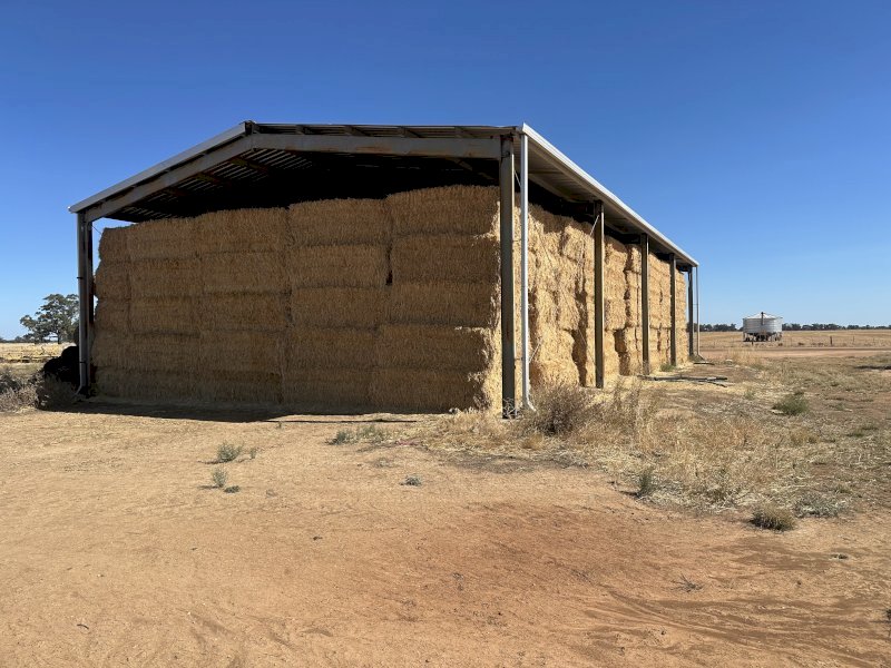 50mt Oaten Hay 600kg 8x4x3 Bales