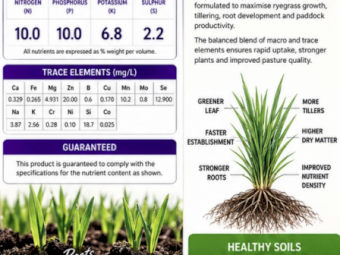 Purple Rain Liquid Fertiliser - 1000L