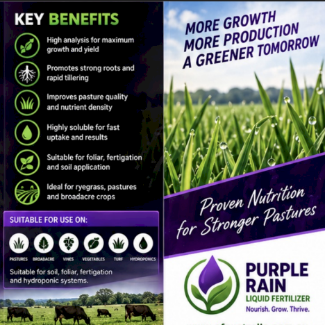 Purple Rain Liquid Fertilizer - 20L
